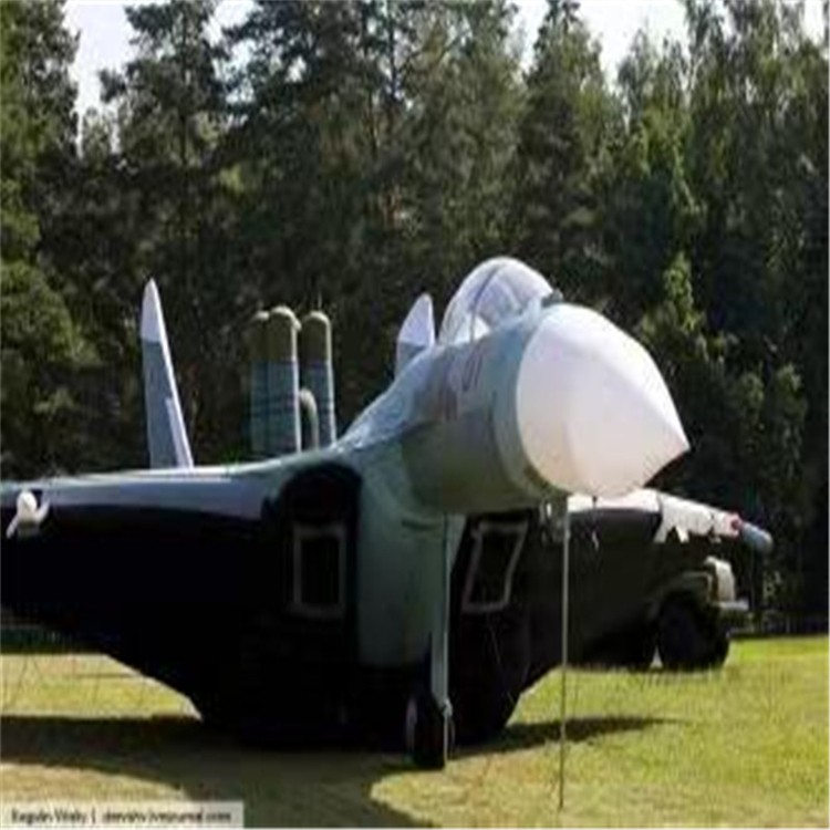 罗江充气模型飞机制造商家